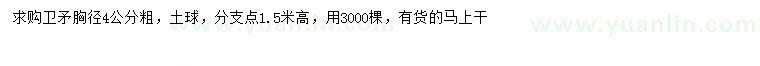 求購胸徑4公分衛(wèi)矛