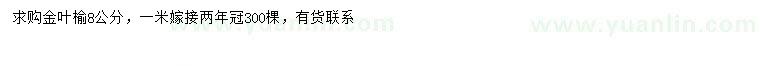 求購(gòu)8公分金葉榆