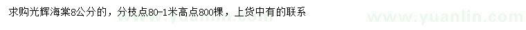 求購8公分光輝海棠