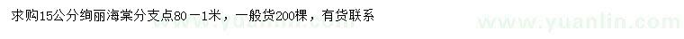 求購(gòu)15公分絢麗海棠