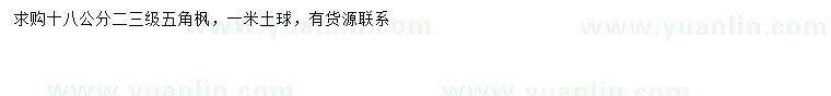 求購18公分五角楓
