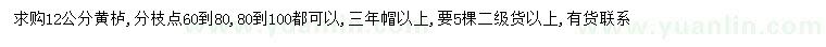 求購12公分黃櫨