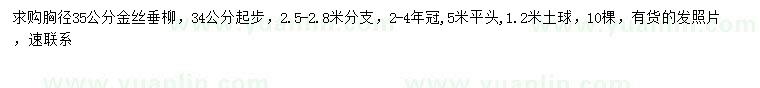 求購(gòu)胸徑34-35公分金絲垂柳