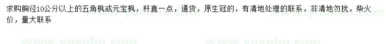 求購(gòu)胸徑10公分以上五角楓、元寶楓