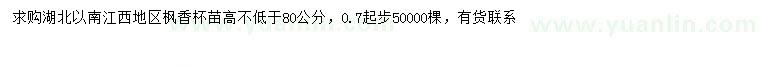 求購高80公分以上楓香