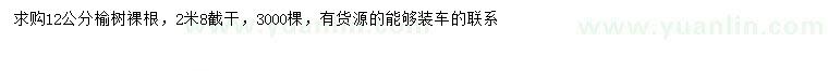 求購12公分榆樹