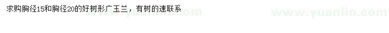 求購胸徑15、20公分廣玉蘭