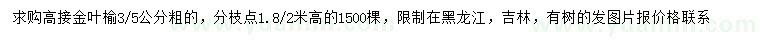 求購3、5公分高接金葉榆