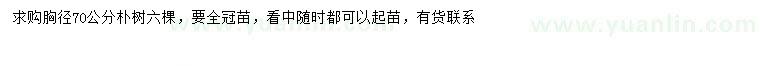 求購胸徑70公分樸樹(shù)