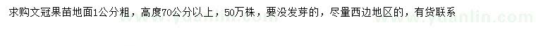 求購高70公分以上文冠果