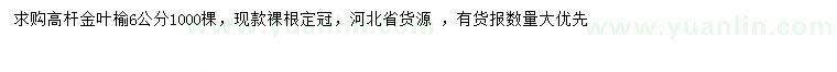 求購6公分高桿金葉榆