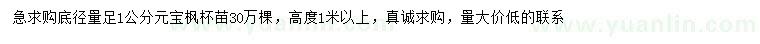 求購(gòu)1公分元寶楓