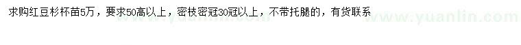 求購(gòu)高50公分以上紅豆杉