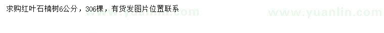 求購6公分紅葉石楠
