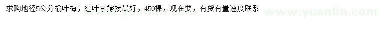 求購地徑5公分榆葉梅