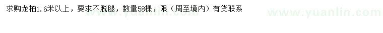 求購1.6米以上龍柏