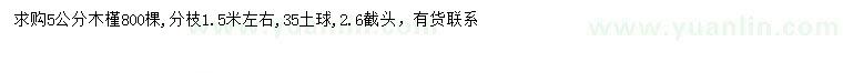 求購5公分木槿
