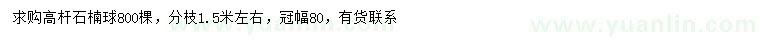 求購(gòu)冠幅80公分高桿石楠球