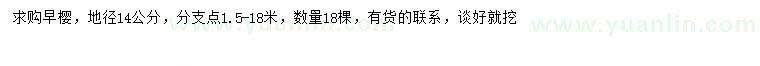 求購地徑14公分早櫻