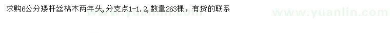 求購6公分絲棉木