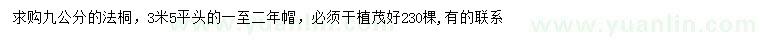 求購9公分法桐
