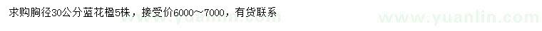 求購胸徑30公分藍(lán)花楹