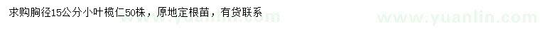 求購胸徑15公分小葉欖仁