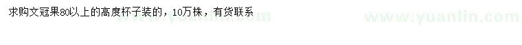 求購(gòu)高80公分以上文冠果