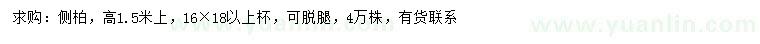 求購高1.5米以上側(cè)柏