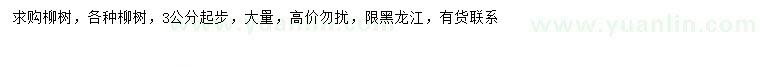 求購3公分以上柳樹