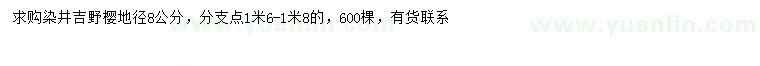 求購(gòu)地徑8公分染井吉野櫻