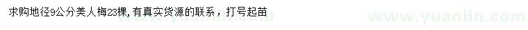 求購地徑9公分美人梅