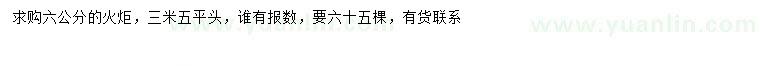 求購6公分火炬