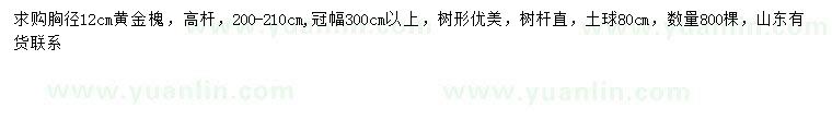 求購胸徑12公分高桿黃金槐