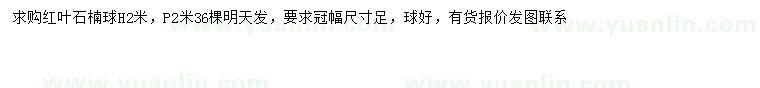 求購(gòu)冠幅2米紅葉石楠球