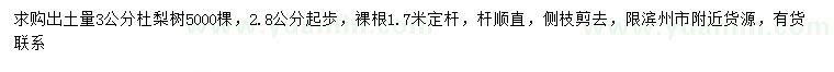 求購2.8-3公分杜梨