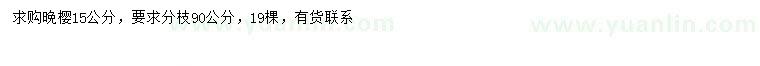 求購15公分晚櫻