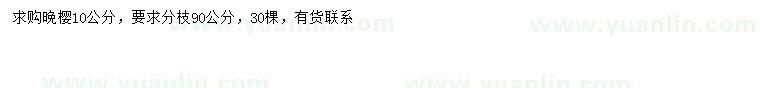 求購10公分晩櫻