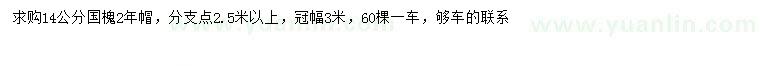 求購14公分國槐