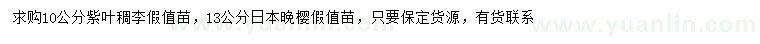 求購10公分紫葉稠李、13公分日本晚櫻
