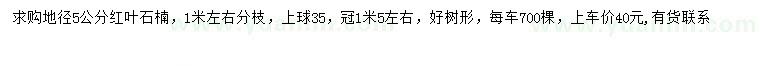 求購地徑5公分紅葉石楠