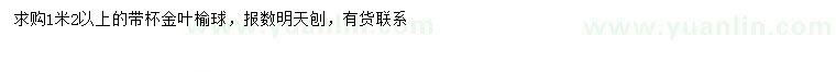 求購1.2米金葉榆球