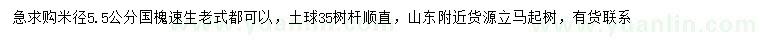 求購米徑5.5公分國槐
