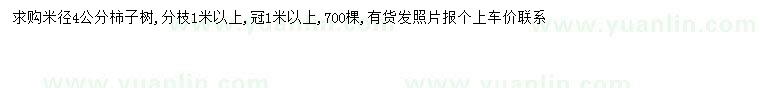 求購(gòu)米徑4公分柿子樹