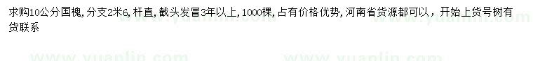 求購10公分國槐