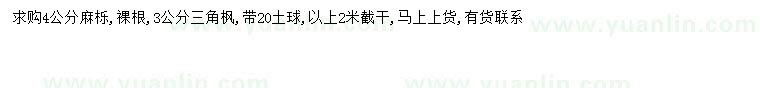 求購4公分麻櫟、3公分三角楓