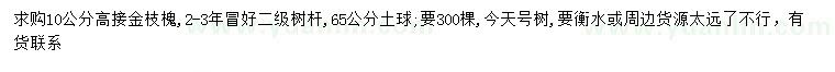 求購10公分高接金枝槐