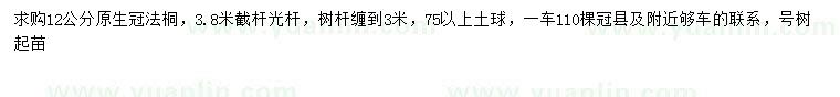 求購12公分法桐