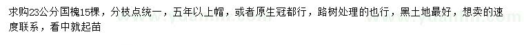 求購23公分國槐