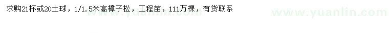 求購(gòu)高1、1.5米樟子松